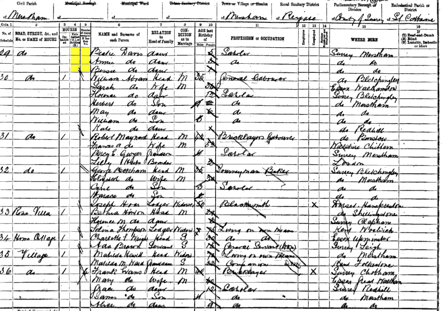 1891 census returns for Family of Thomas and Mary Ann Davis