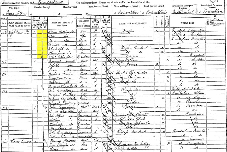 1891 census returns for William and Alice Hetherington and family