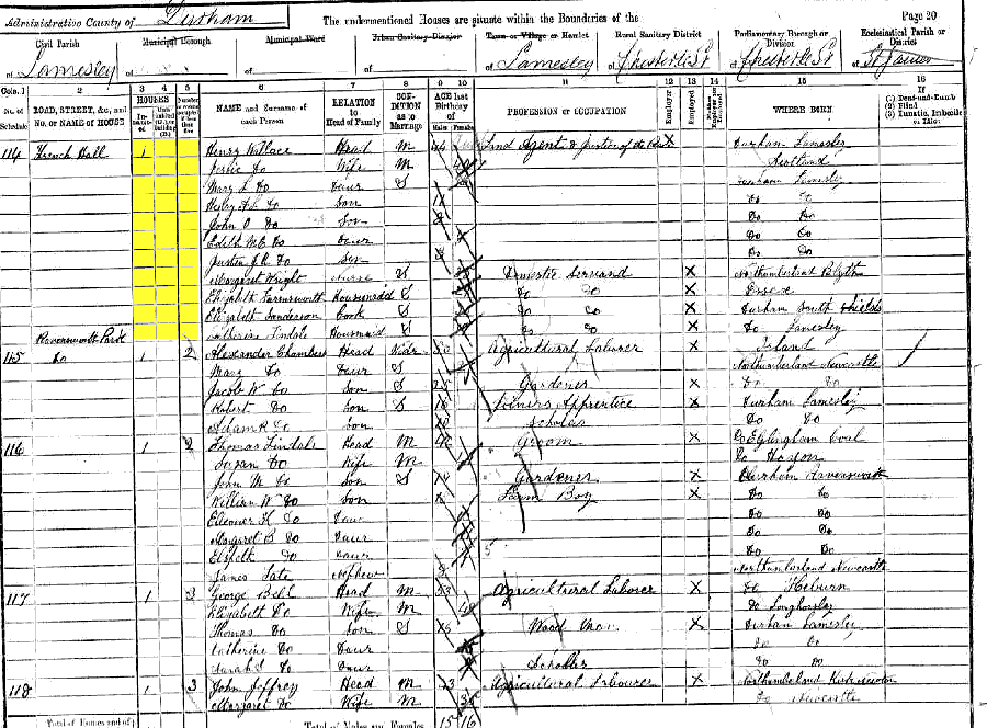 1891 census returns for Henry and Jessie Wallace and family